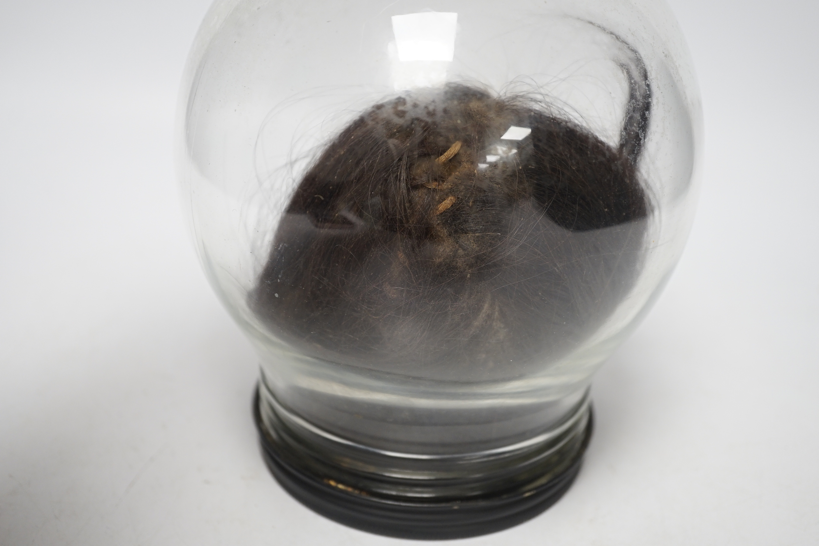 A copy of a shrunken head, in animal hide, mounted inside a glass dome on turned base, 18cm high